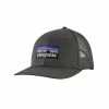 Patagonia P-6 Logo Trucker Hat